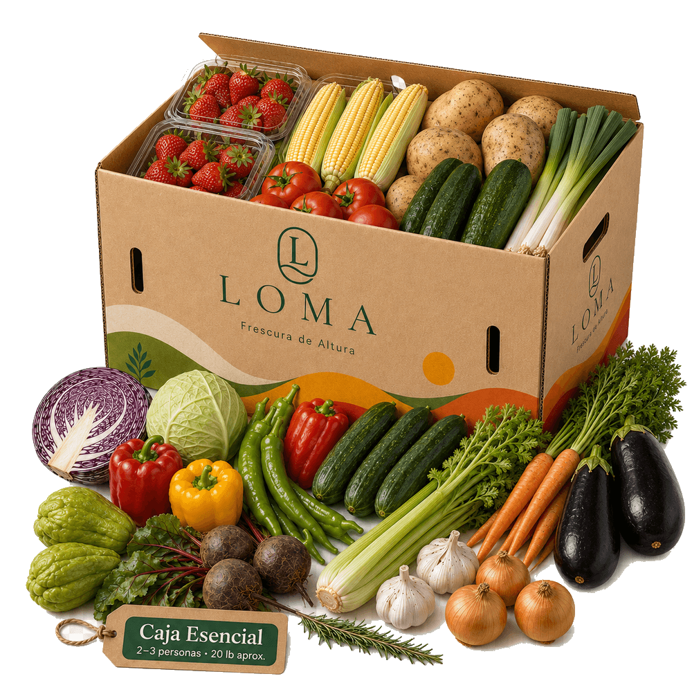 Caja Loma Esencial con vegetales frescos
